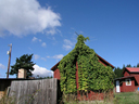 barn with hops